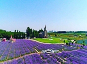 济南紫缘香草园拓展训练基地